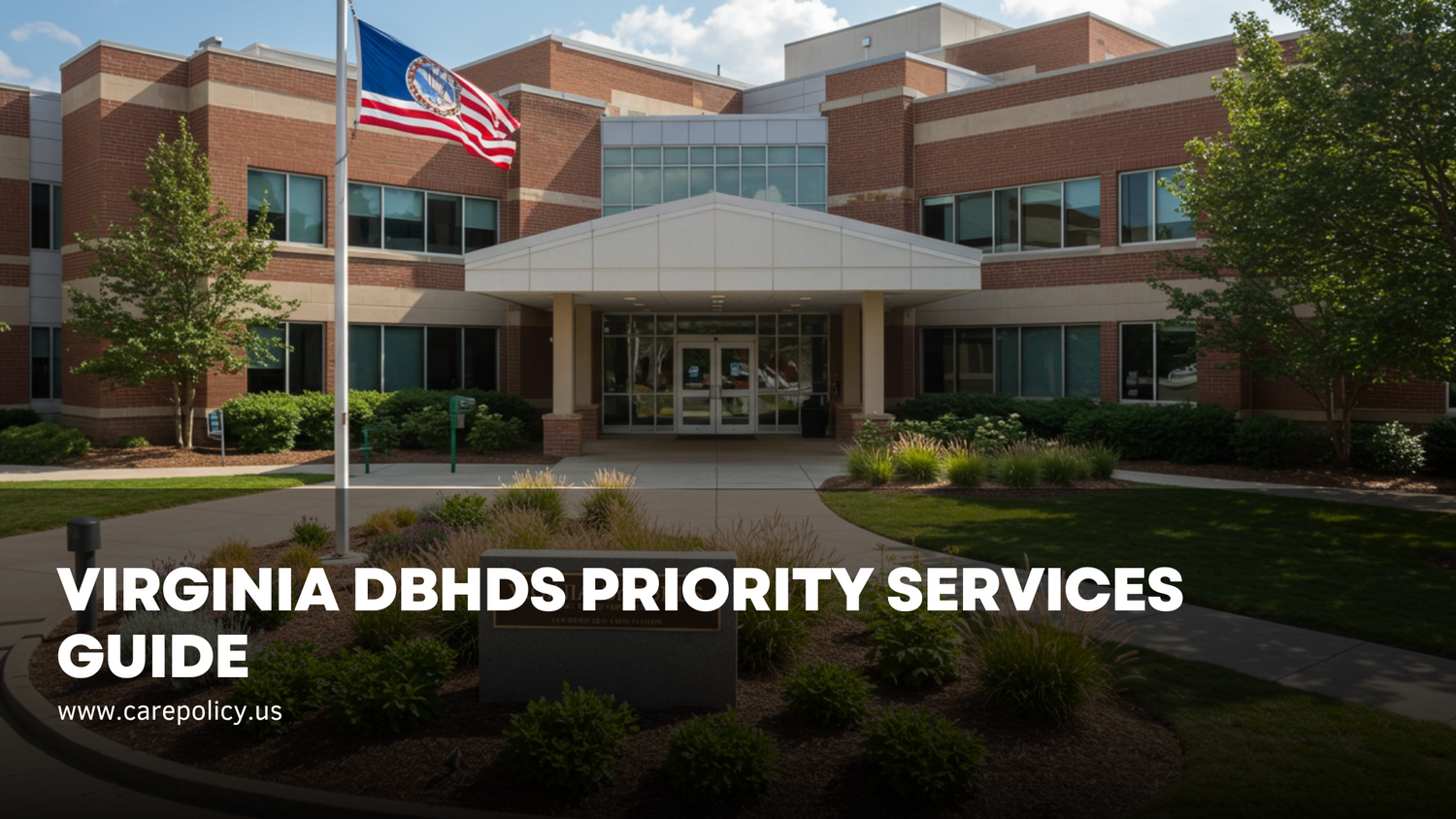 Virginia DBHDS Priority Services Guide 2025 – CarePolicy.US